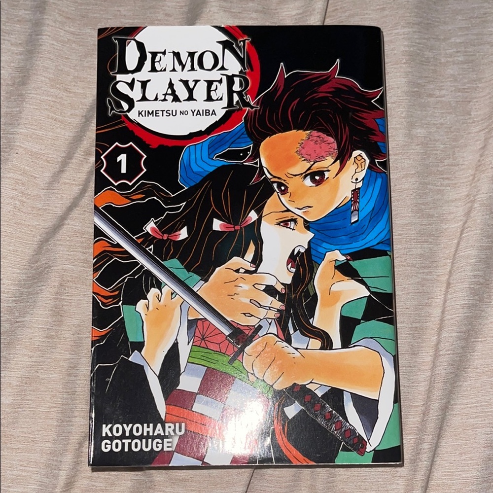 Demon Slayer: Kimetsu no Yaiba Vol. 1 Manga